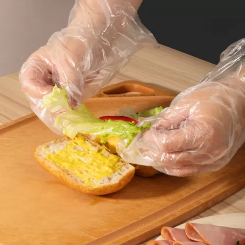 Disposable Gloves Disposable Gloves