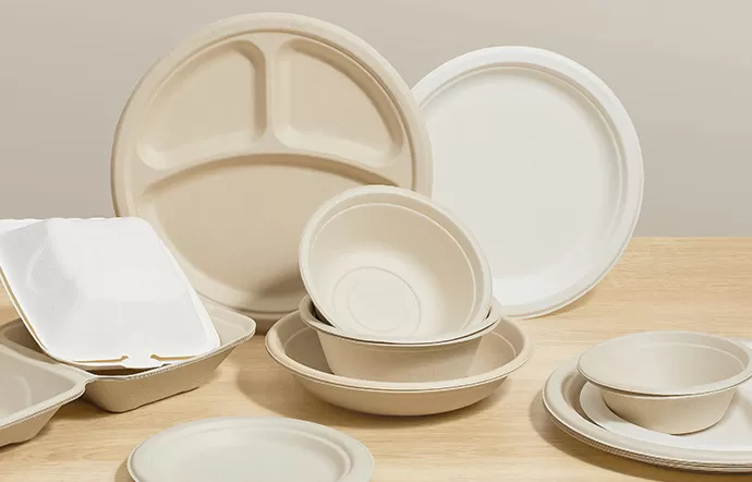 Eco-Friendly Bagasse Tableware Transforms Disposable Food Packaging Eco-Friendly Bagasse Tableware Transforms Disposable Food Packaging